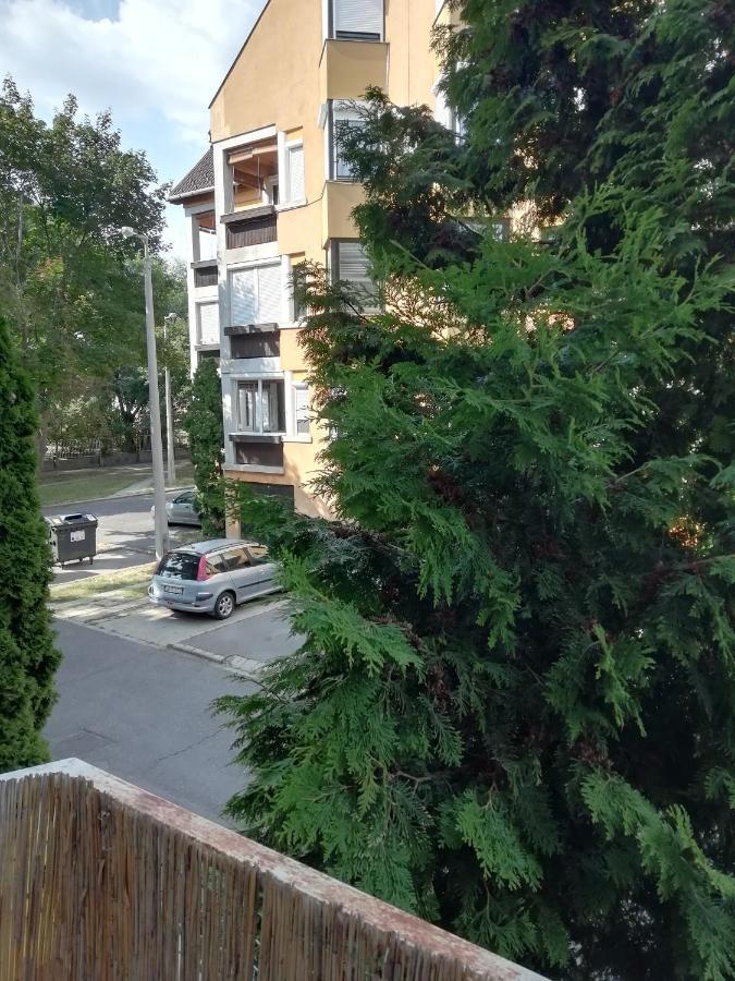 Rokus Apartman Apartment Szeged Exterior photo